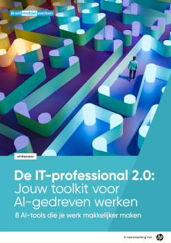 IT-professional 2.0